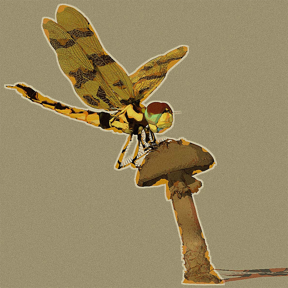 Introduction to Maya 2019 The Gnomon