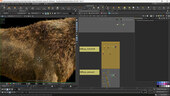 Fantasy Creature Texturing & Look Dev