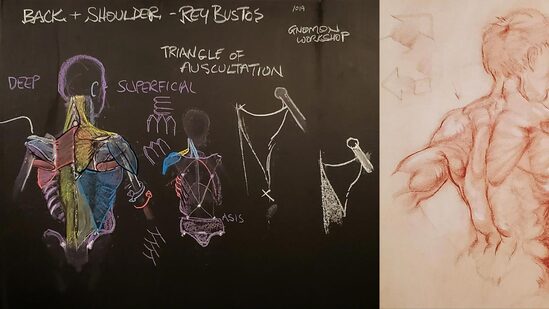 Anatomy for Artists Volume 1 Thumbnail