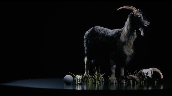 Vellum Hair Simulation in Houdini