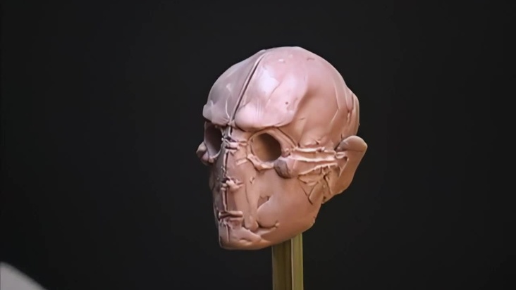 Head Sculpting
