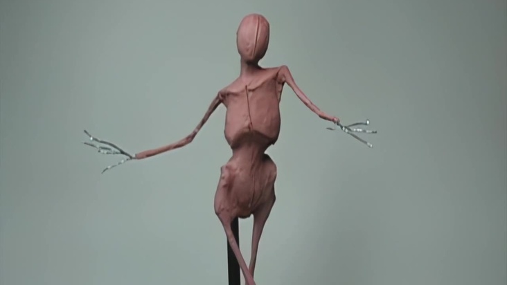 Understanding the Boney Forms