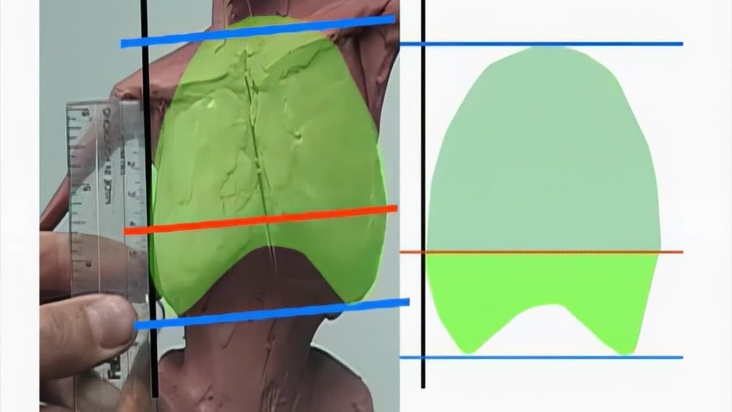 Understanding Curves