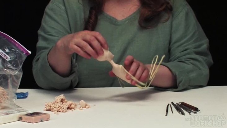 Beginning your Sculpt