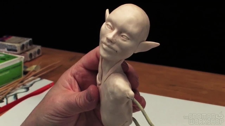 Neck, Shoulders and Torso