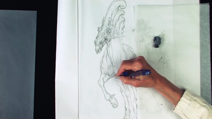 The Marine Mare in Motion, Front View