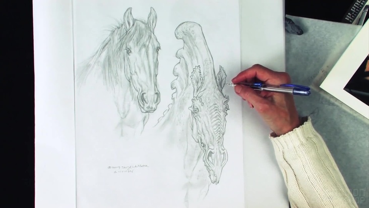 Head Study, Front View, Color Demo