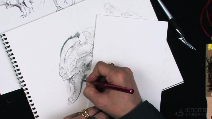 Refining the Drawing part 1