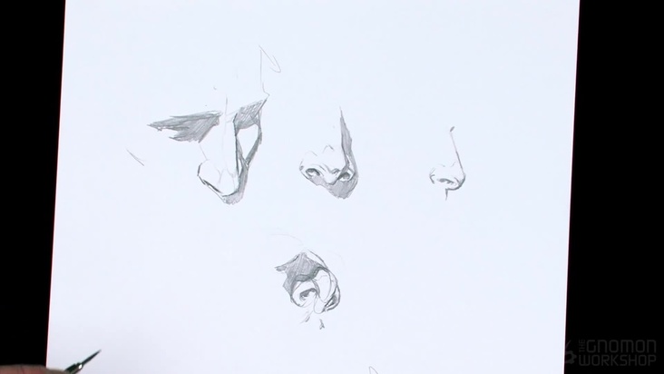 Drawing the Nose