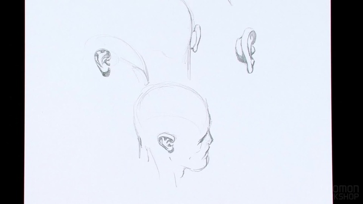 Drawing Ears
