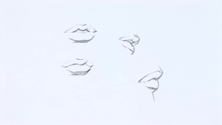 Differences Between Male and Female Mouths