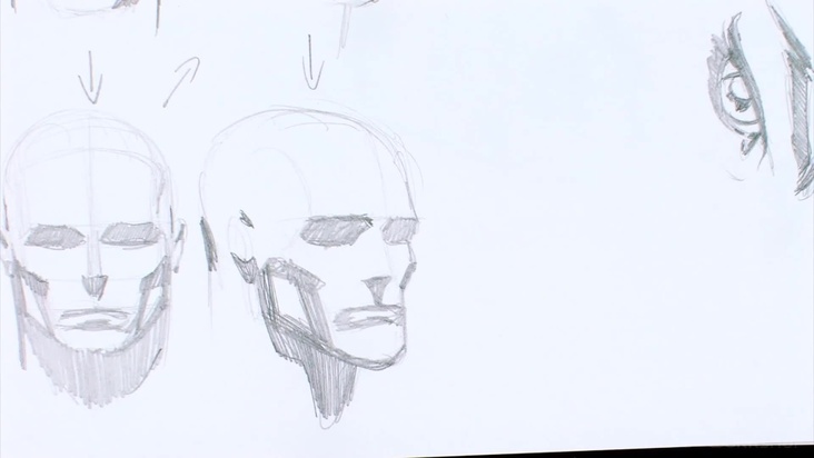 Understanding Simple Lighting on the Human Head