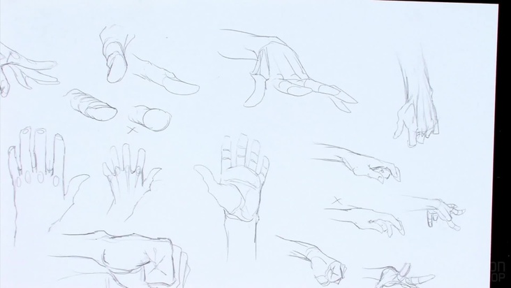 Breaking Down the Structure of the Hand