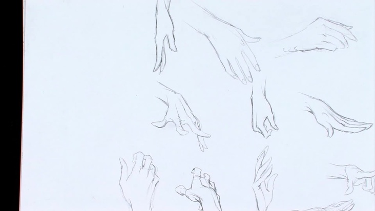 Drawing the Female Hand