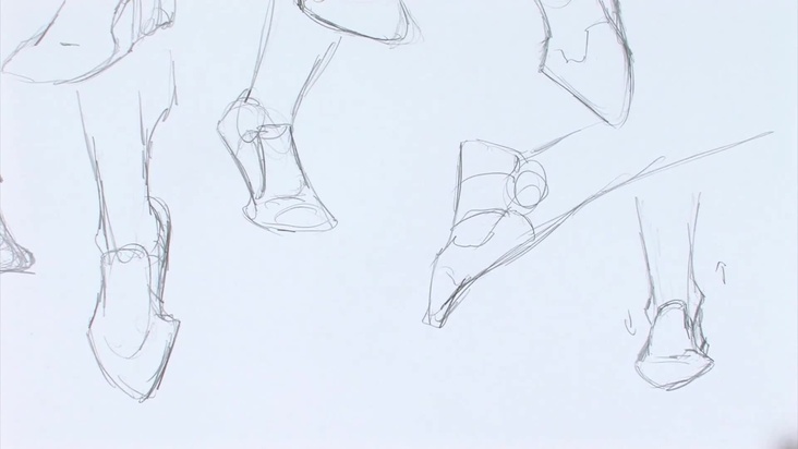 Drawing a Slightly More Complex Foot Structure