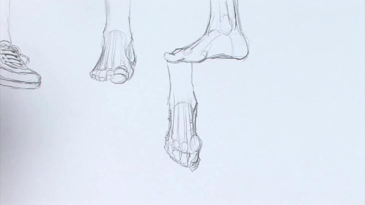 Defining the Knuckles and Toes