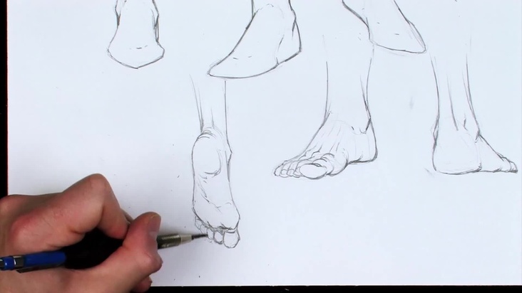 Drawing the Naked Foot
