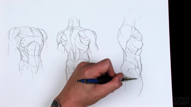 Blocking in Basic Anatomical Shapes