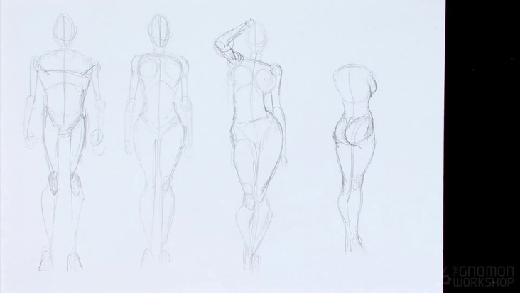 Blocking in Basic Female Anatomical Shapes