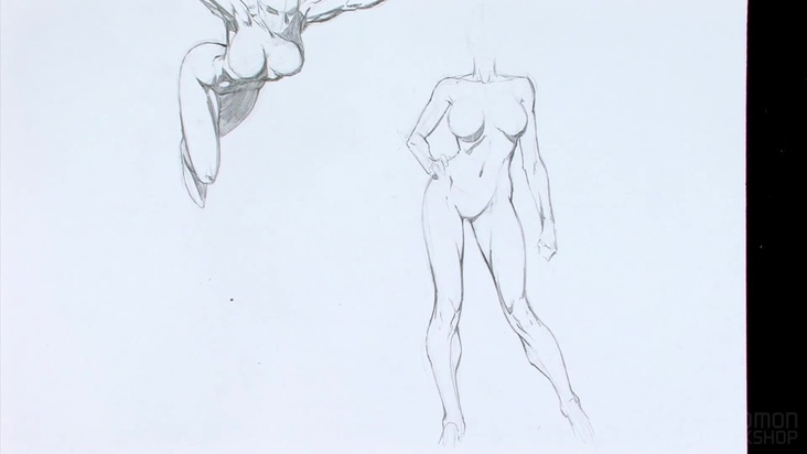 Drawing the Female Body