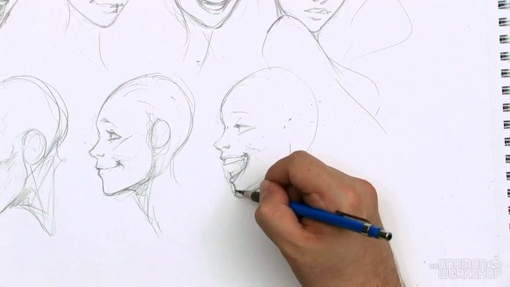 A Range of Emotion in the Profile Face