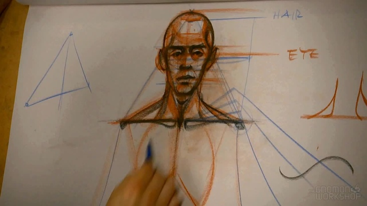 Neck and Shoulder (Front)