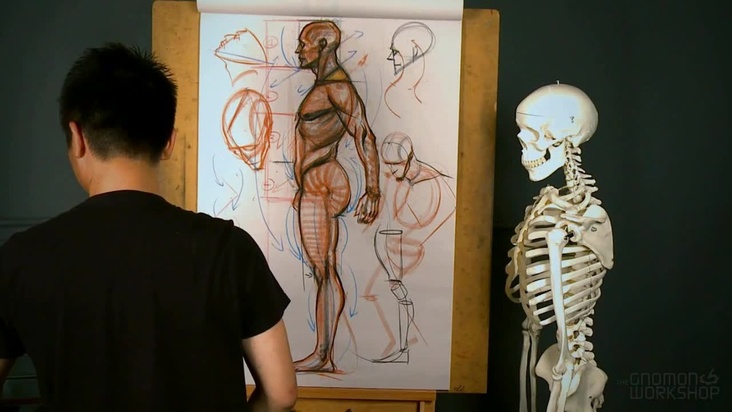 Arms and Legs (Side)