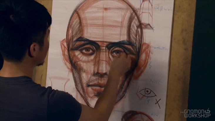 Planes, Proportions and Landmarks of the Human Head