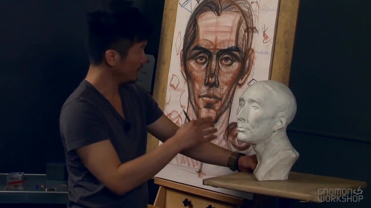 Planes and Landmarks of the Head from ¾ View