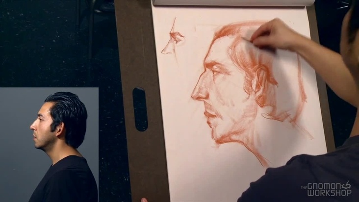 Drawing from Life – Side View of the Human Head