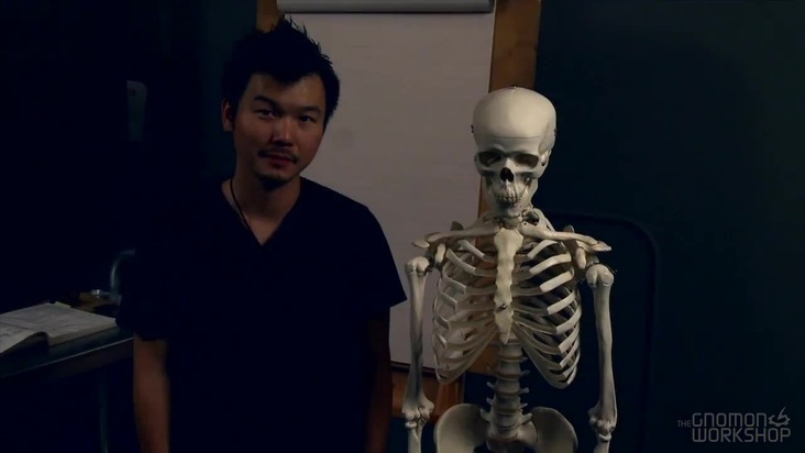 Overview of the Human Skeletal System