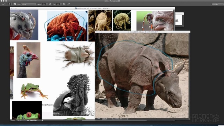 Defining the Creature and Working with Reference