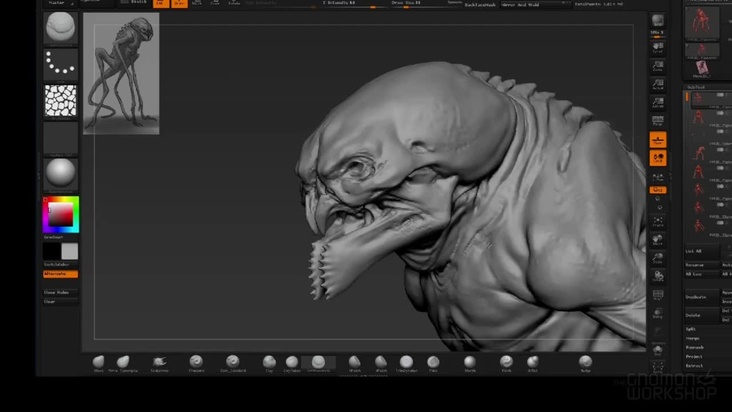 Dynamesh and Refining the Anatomy