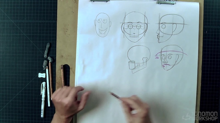 Introduction to the proportions of the head