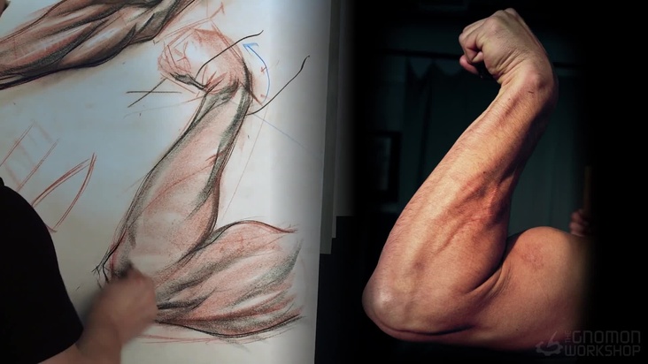 Demonstration from Photo – Part 2