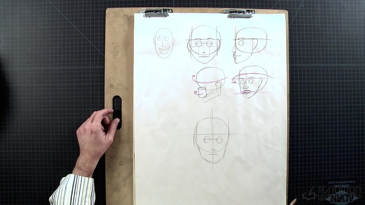 Male and female head proportions compared