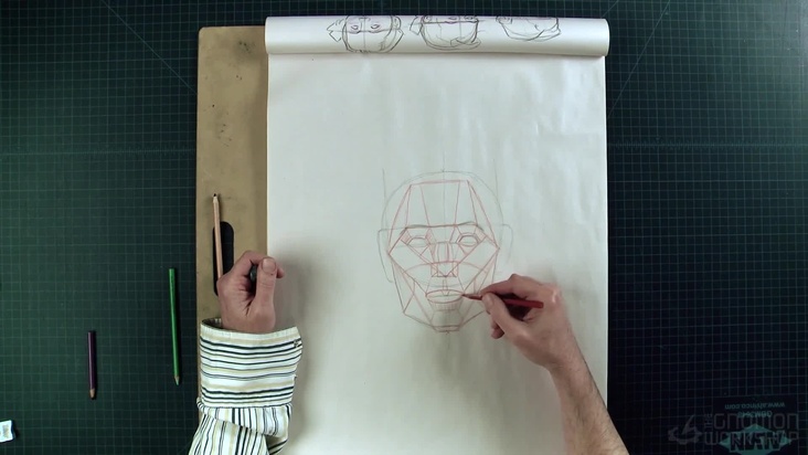 Explanation of planes of the head