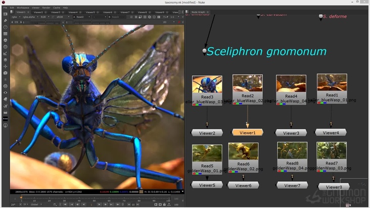 Introduction to Insect Taxonomy