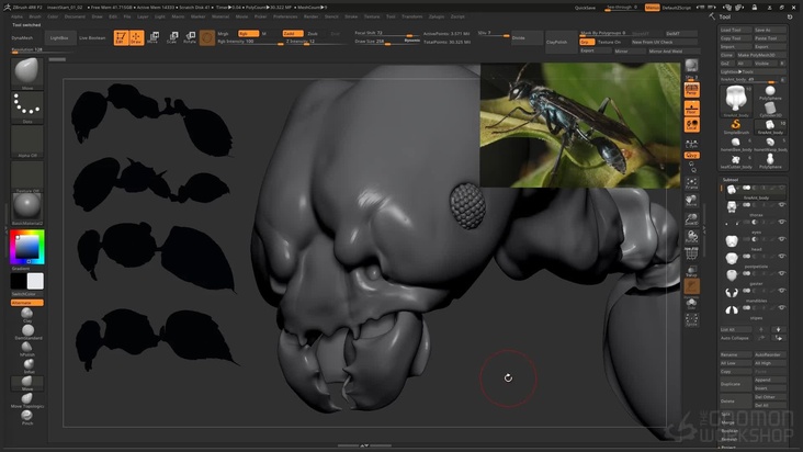 Blockout the wasp's body plan using ZBrush
