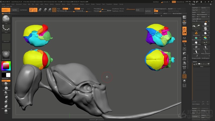 Sculpt the wasp's thorax