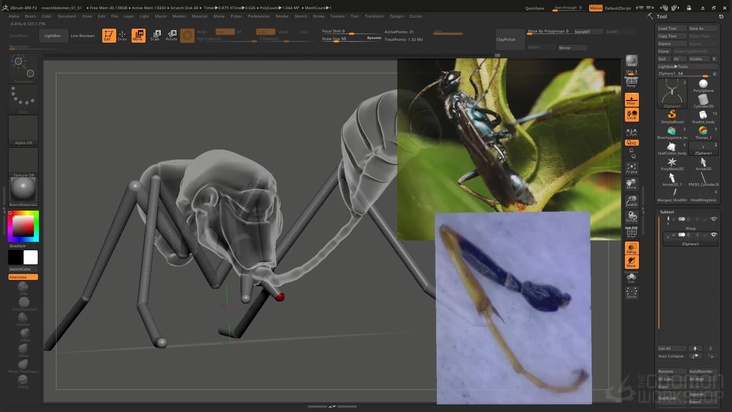 Block out the wasp's legs using ZSpheres