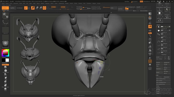Design mandibles and mouth parts for the wasp