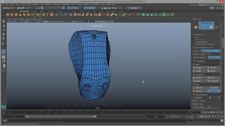 Retopologize the head and add details