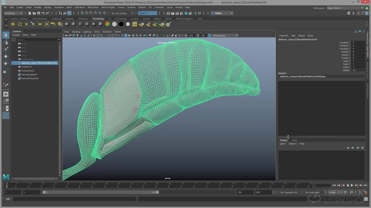 Retopologize and refine the wasp's throax and abdomen