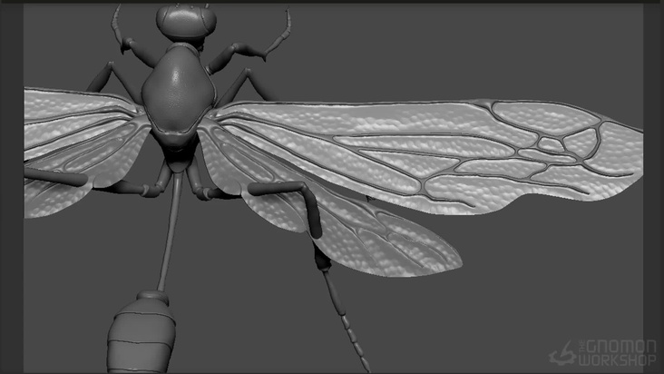 Detail the wasp's wings in ZBrush