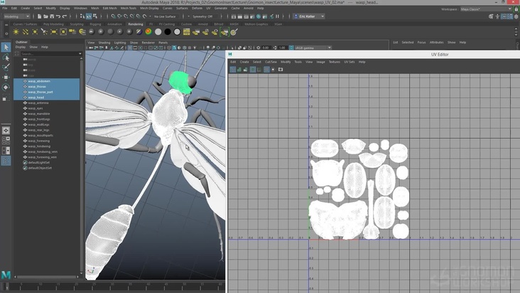 Prepare the model for texturing