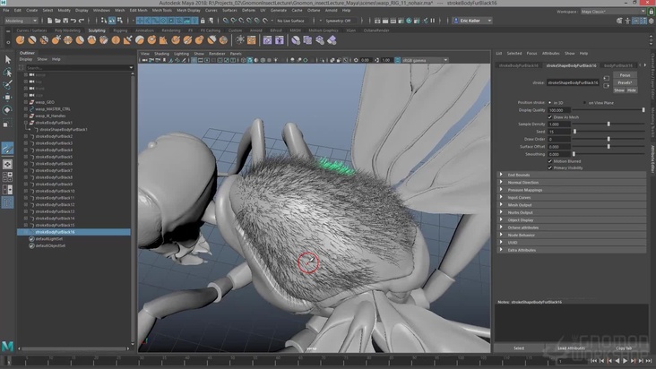 Add hair using Maya Paint Effects