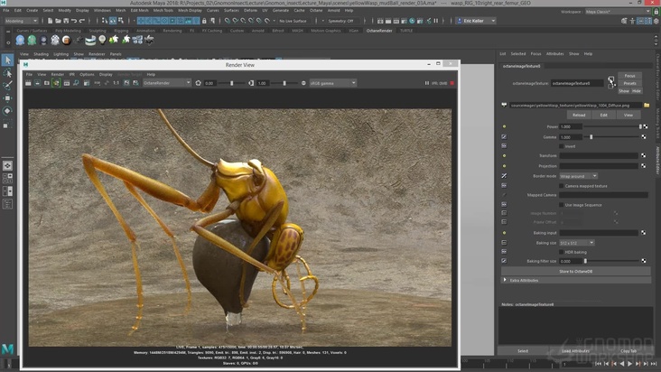 Design shaders for the wasp using Octane for Maya 2018