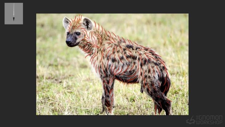 Tertiary Details Part 1