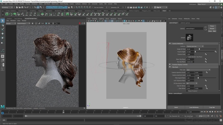 Setting Camera and Lights